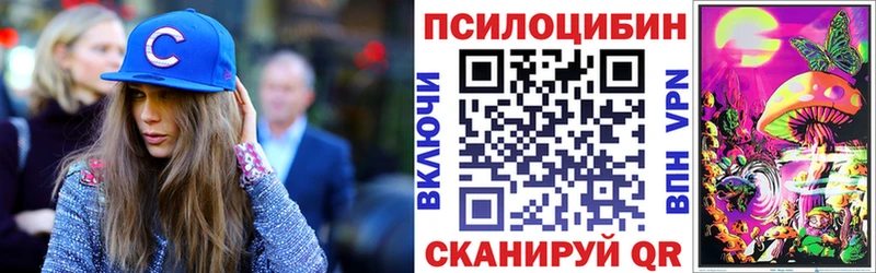 Купить закладки  Рыбное  Псилоцибиновые грибы MAGIC MUSHROOMS 